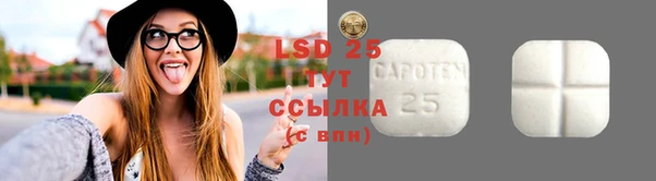 стаф Арсеньев