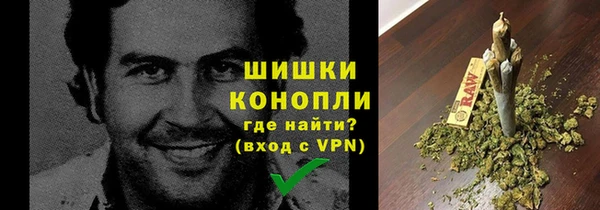 шишки Балахна